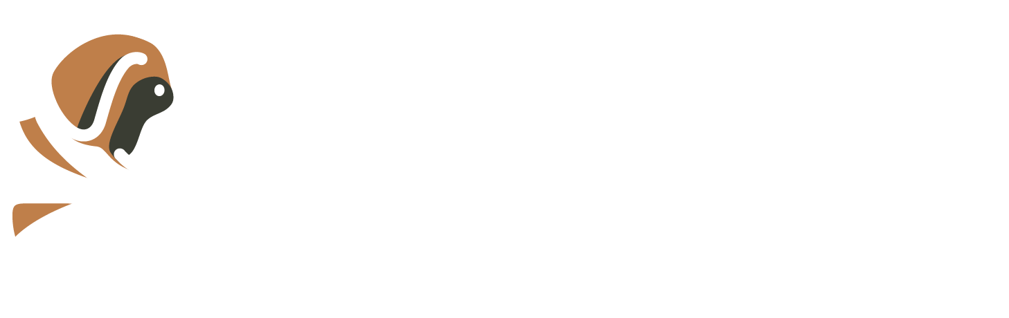 Big Paws Welfare